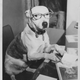 Illustration for article titled Even In The 1900s, Humans Were Obsessed With Photos Of Dogs In Clothes